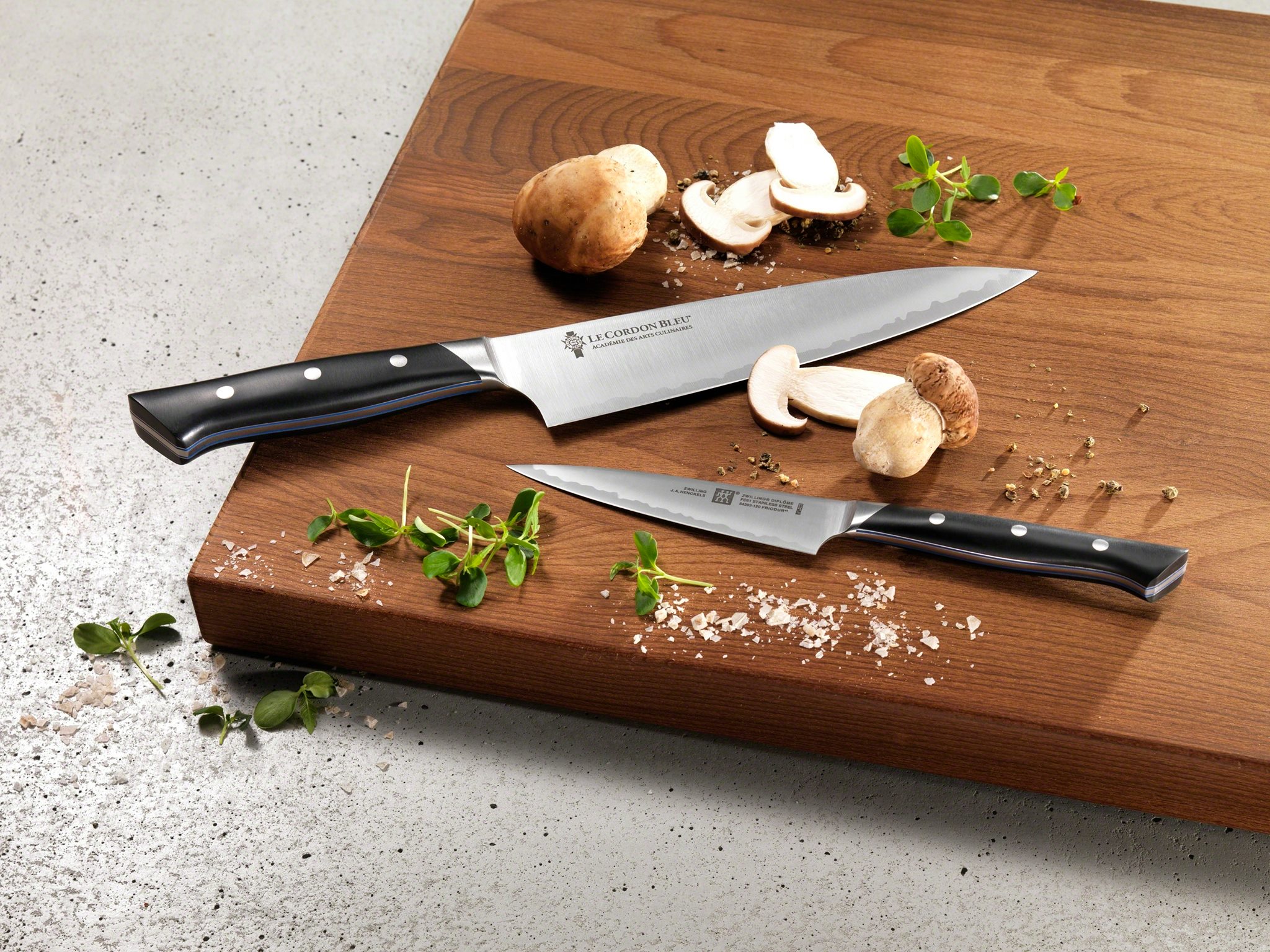 Zwilling Shop -Zwilling Shop Zwilling8